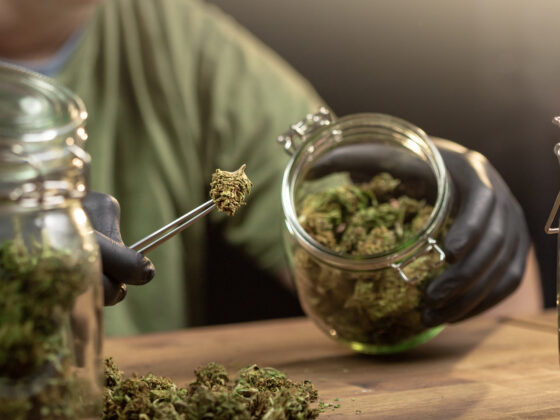 Hands placing trimmed weed buds in a glass jar