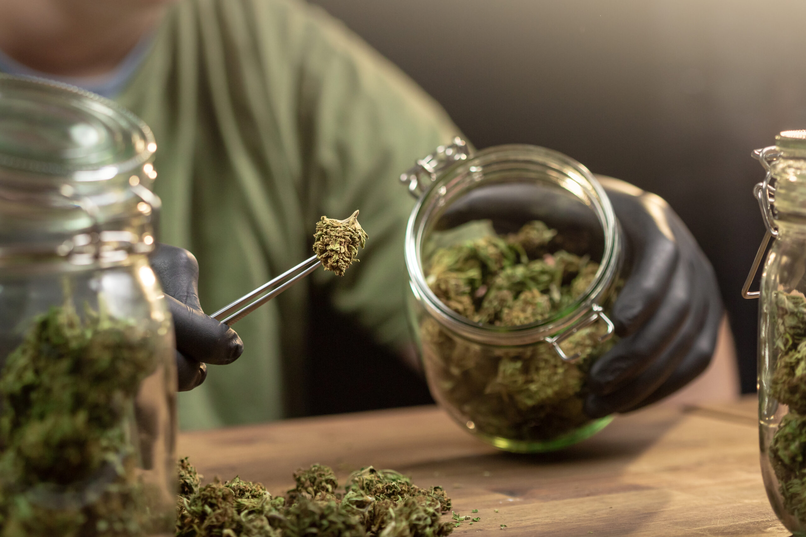 Hands placing trimmed weed buds in a glass jar