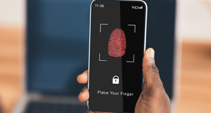 Biometric Laws and Business