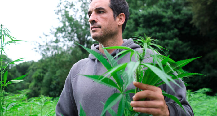 HEMP Act Introduced in Senate Seeks to Ease Burdens on Hemp Farmers